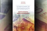 okładka publikacji Gospodarcze determinanty bezpieczeństwa międzynarodowego